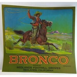 Bronco Western Cowboy Horse Lasso Fruit Crate Label Vintage Original 1930's